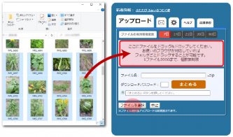 【図解】ギガファイル便の使い方 ～無料で大容量データを送る～ | 山梨集客ドットコム