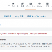 Could not turn on the WP_CACHE constant in wp-config.php. Check your permissions.