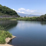 約5年ぶりの狩野川釣行。結果は・・・