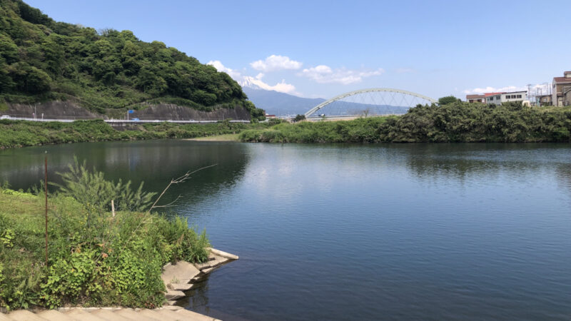約5年ぶりの狩野川釣行。結果は・・・