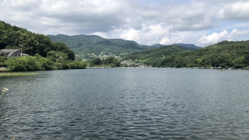 千代田湖（丸山貯水池）｜山梨県内で鯉釣りができる場所