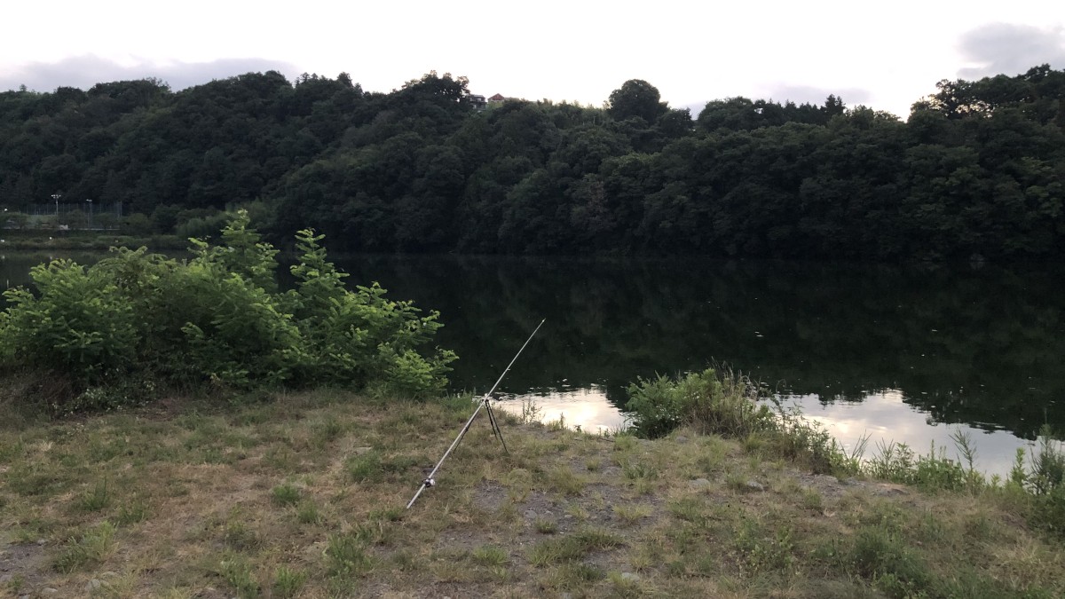 島田湖（桂川最下流、相模湖手前）へ鯉釣りに行ってみた