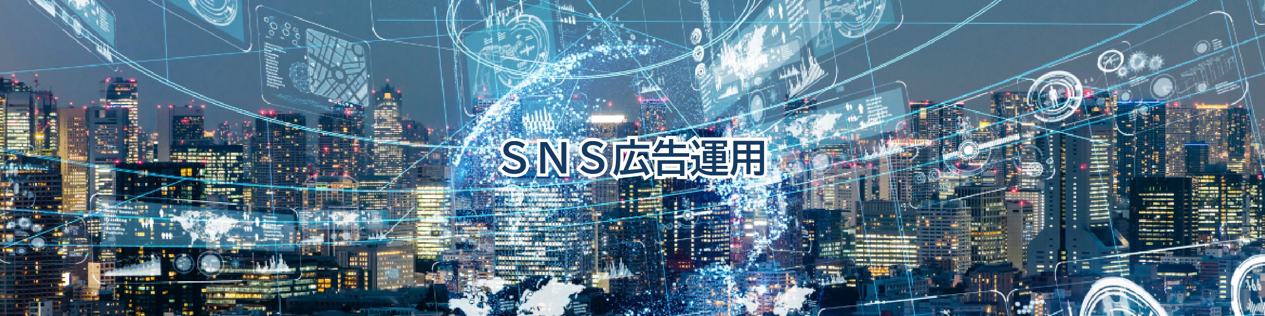 <h1>SNS広告運用</h1>