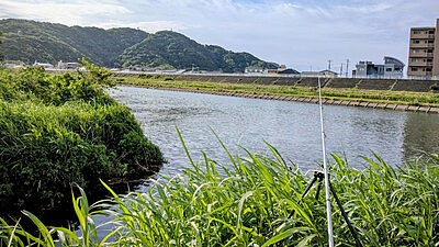 5月5日のこどもの日。狩野川釣行