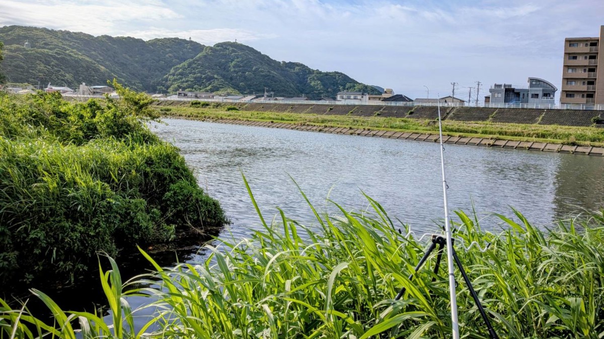 5月5日のこどもの日。狩野川釣行
