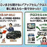 【こっそり学ぶ】いまさら聞けない「アップセル」「クロスセル」の違い。車に例えたら一発で分かった！